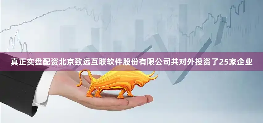 真正实盘配资北京致远互联软件股份有限公司共对外投资了25家企业